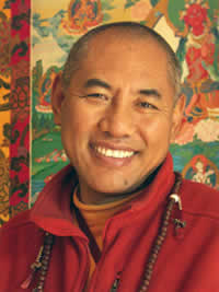 Living Luminaries