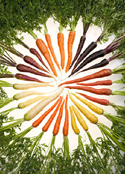 Carrots Originally Purple