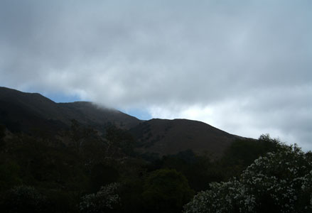 slomorningfog