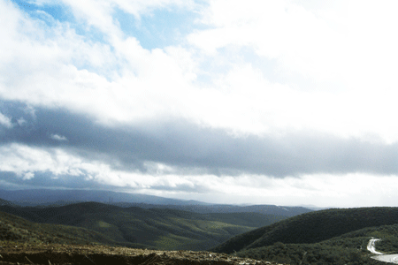 ridge route